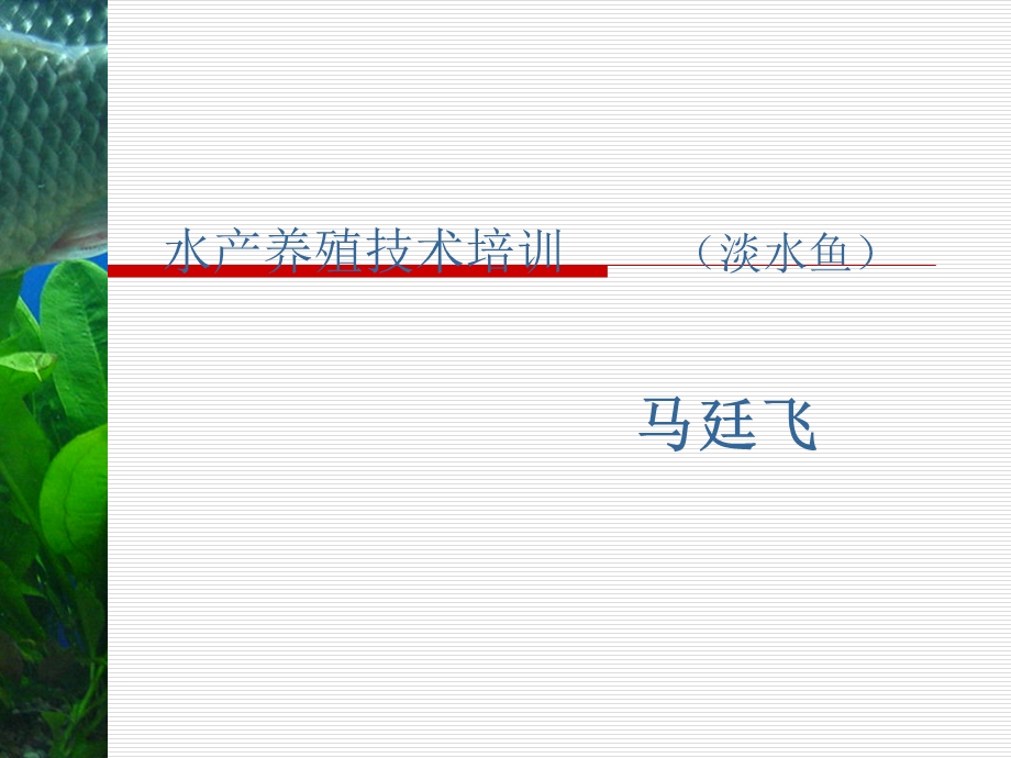 淡水养殖技术培训.ppt_第1页