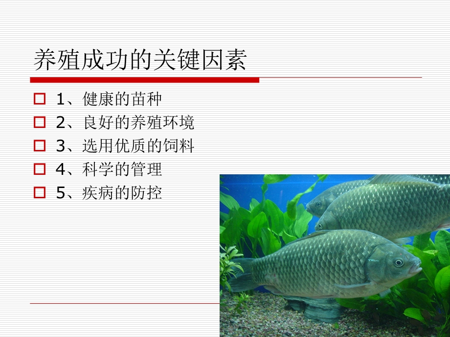 淡水养殖技术培训.ppt_第3页