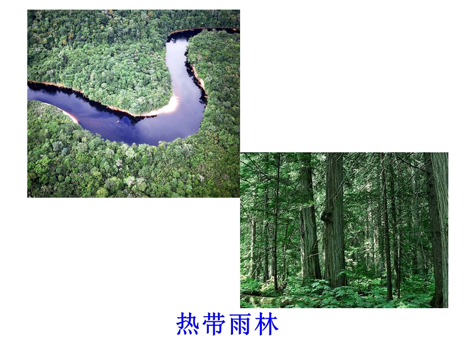 区域地理课件－拉丁美洲与巴西.ppt_第2页