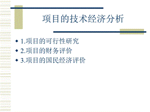 项目的技术经济分析培训.ppt