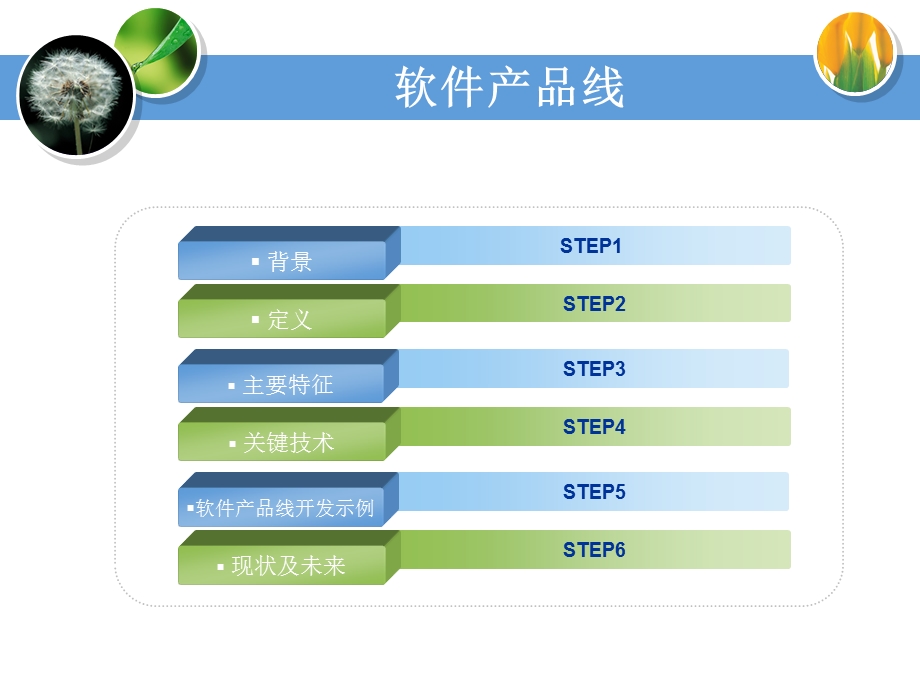 软件产品线.ppt_第2页