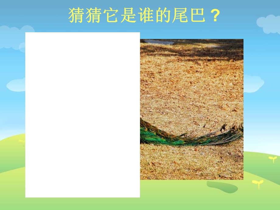 尾巴的妙用.ppt.ppt_第3页