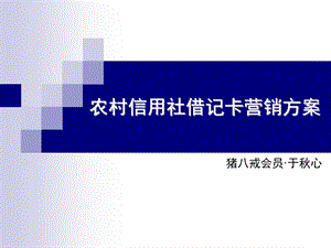 农村信用社借记卡营销方案.ppt