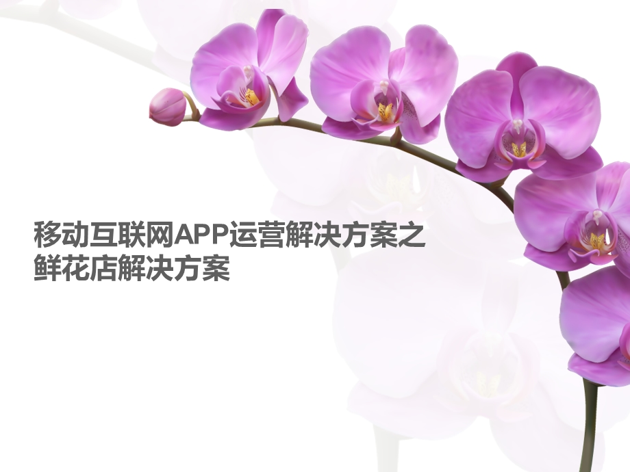 移动互联网APP运营解决方案之鲜花店解决方案.ppt_第1页