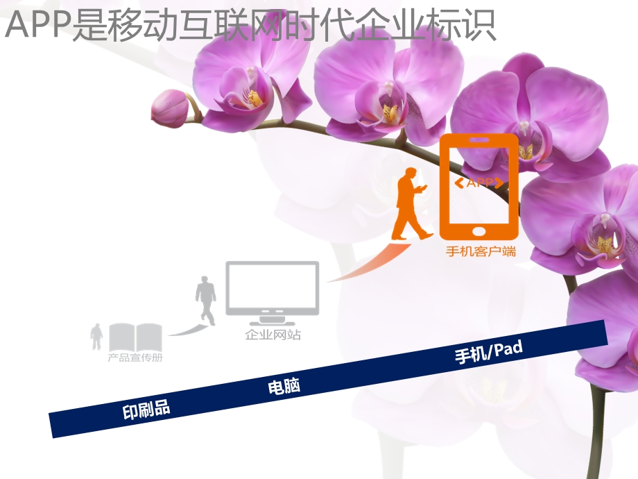 移动互联网APP运营解决方案之鲜花店解决方案.ppt_第2页