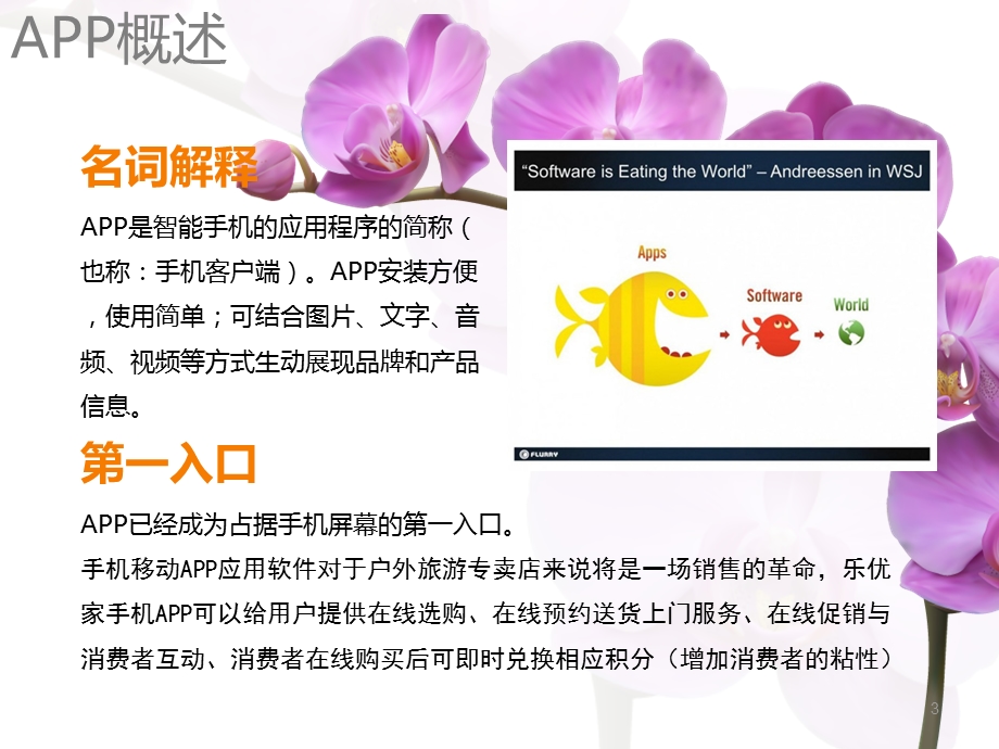 移动互联网APP运营解决方案之鲜花店解决方案.ppt_第3页