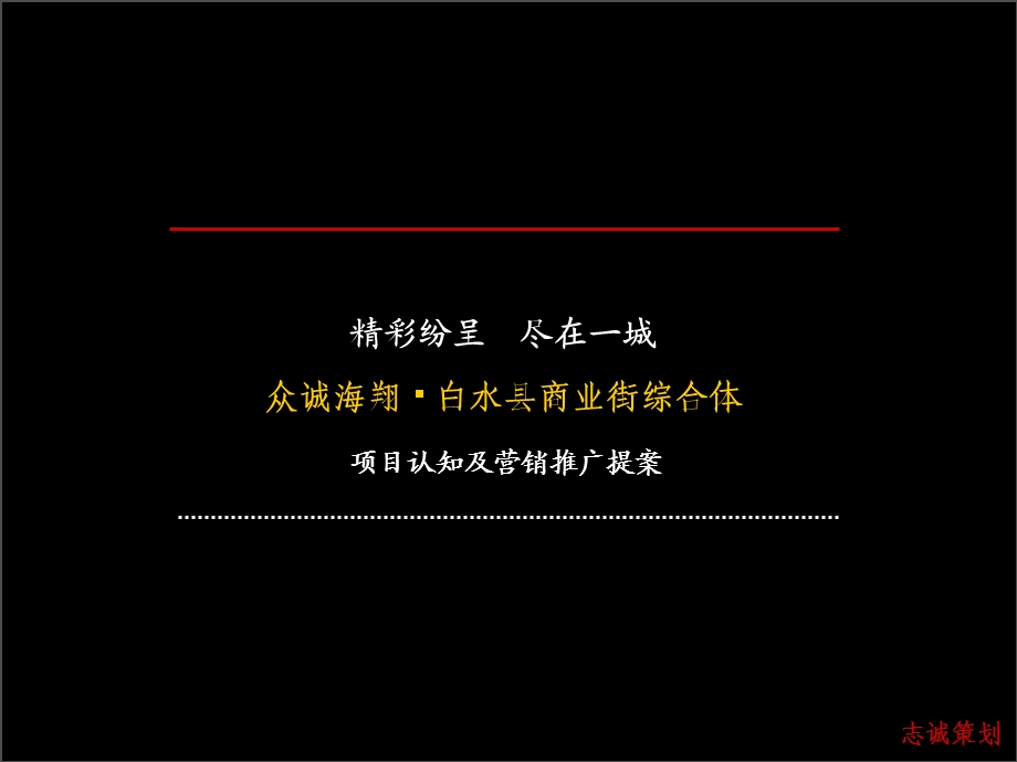 众诚海翔白水县商业街综合体.ppt_第1页