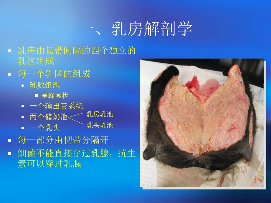 奶牛乳房炎综合防治.ppt_第2页