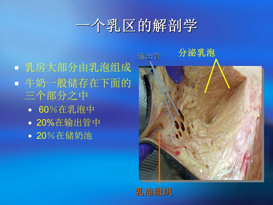 奶牛乳房炎综合防治.ppt_第3页