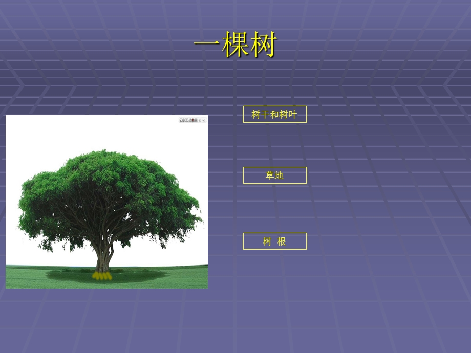 保安培训资料.ppt_第3页