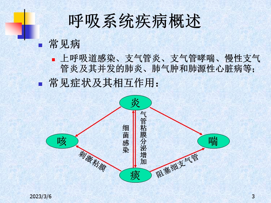 呼吸系统用药.ppt_第3页