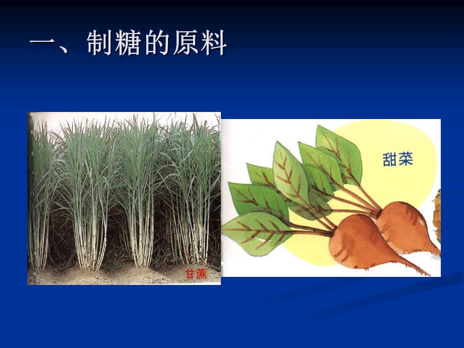 制糖工艺过程专题讲座PPT.ppt_第3页