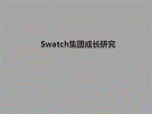 704533812swatch集团成长研究1.ppt