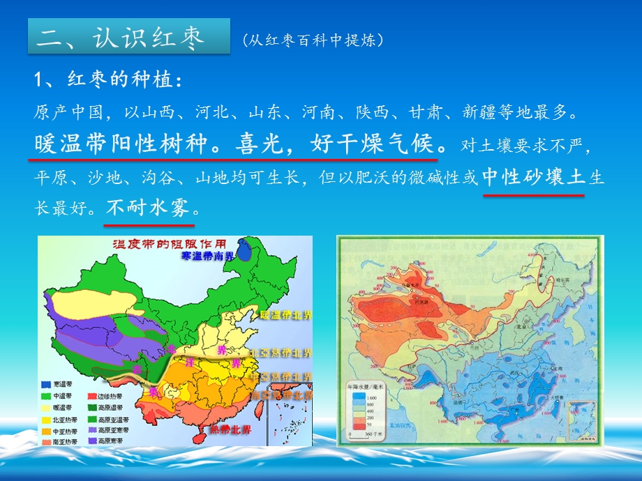 红枣产品说明.ppt.ppt_第3页