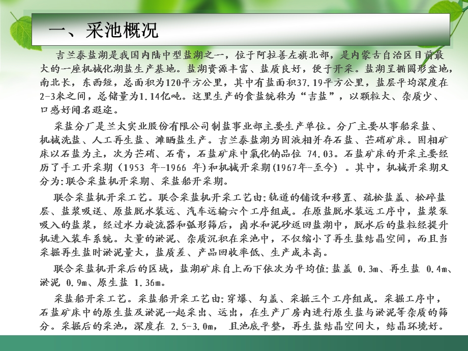 采盐分厂工艺和设备运行原理及主要控制措施.ppt_第3页