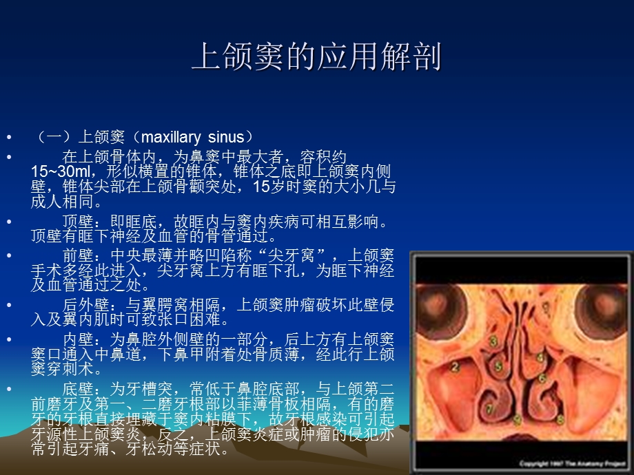 上颌窦穿刺术（PPT X页） .ppt_第3页