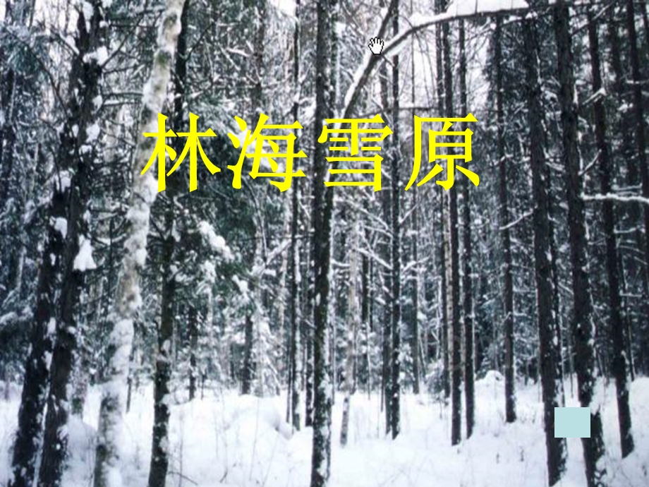 山东人民版小学五级品德与社会下册《林海雪原》课件　.ppt_第1页