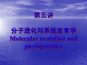 分子进化与系统发育学ppt幻灯片1.ppt