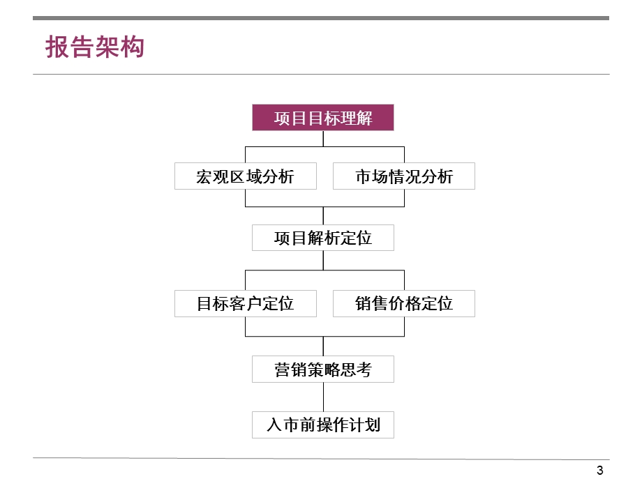 01月06日三亚亚龙湾君域项目营销策划书.ppt_第3页