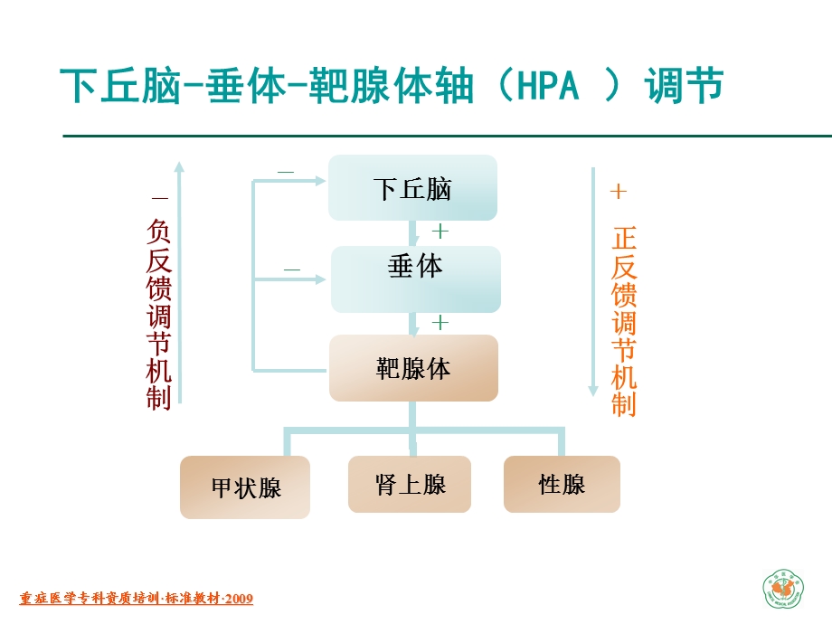 重症病人的内分泌监测.ppt_第3页