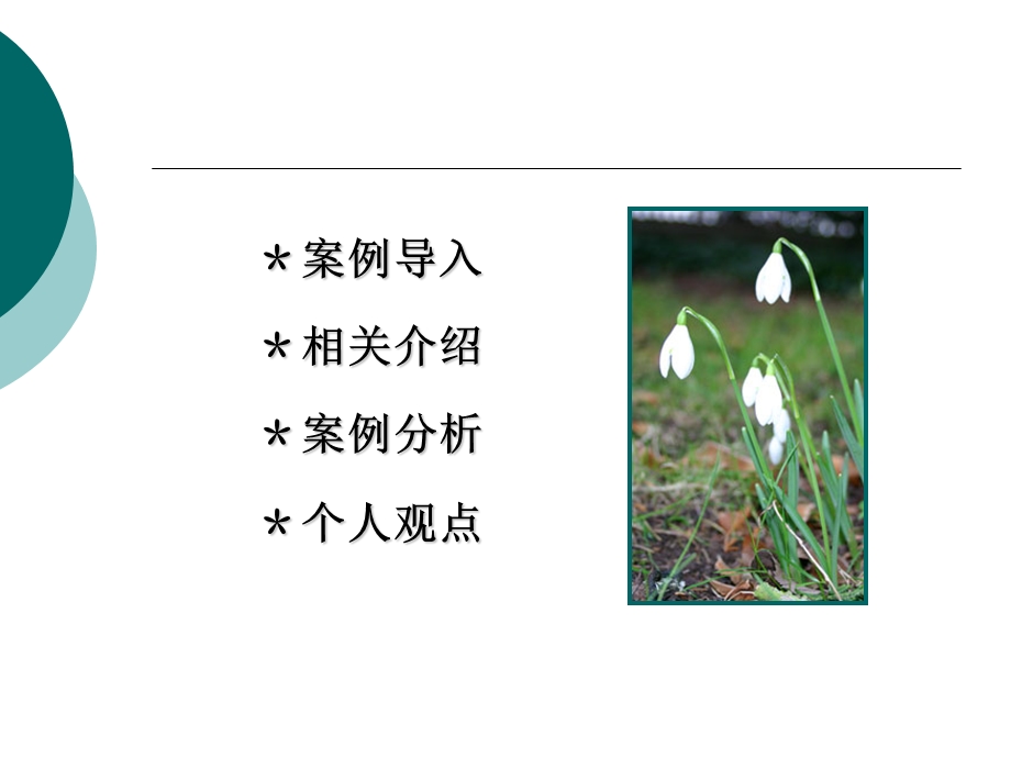 养老保险案例分析.ppt.ppt_第2页