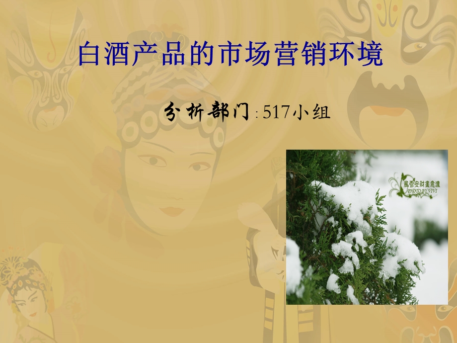 白酒产品的市场营销环境.ppt_第1页