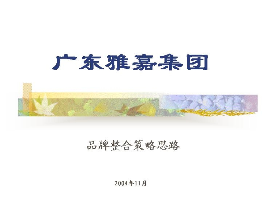 广东雅嘉集团品牌整合与提升策略.ppt_第1页