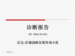 好猫集团战略诊断报告.ppt