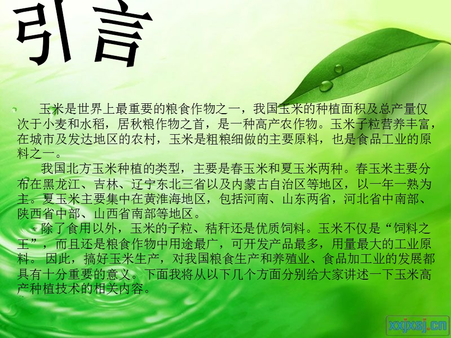 玉米种植技术.ppt_第2页