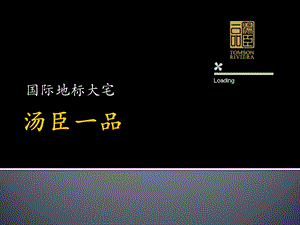 汤臣一品详解.ppt