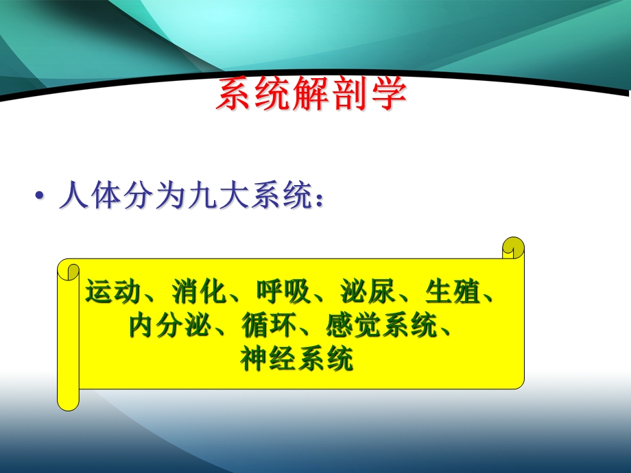 最形象的医学基础知识1.ppt_第2页