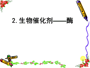 生物催化剂酶公开课.ppt