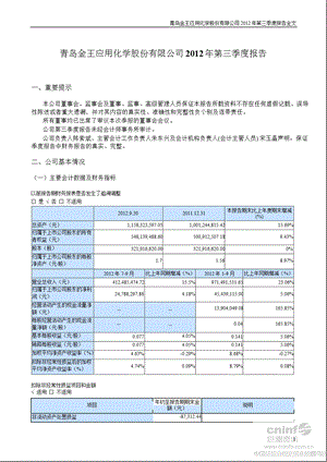 青岛金王：第三季度报告全文.ppt