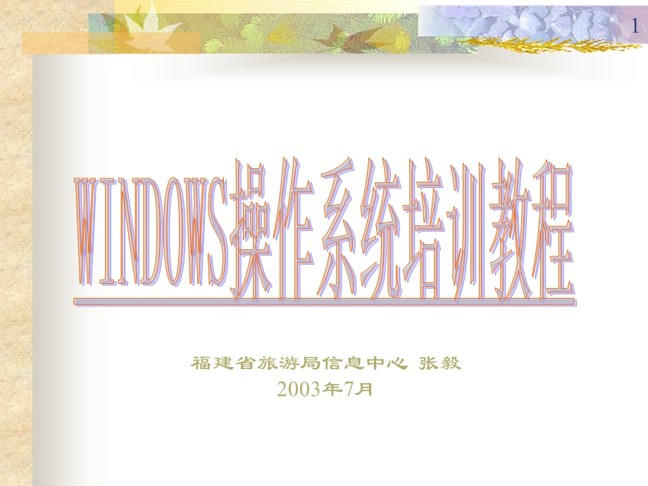 WINDOWS操作系统培训教程.ppt_第1页