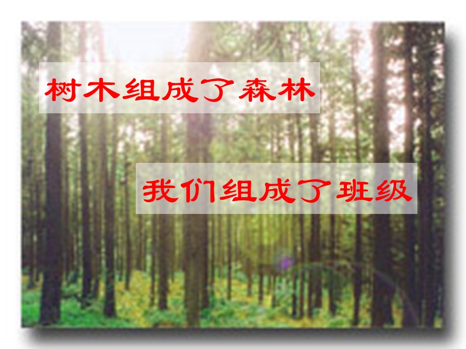 做一个不给别人添麻烦的人班会ppt免费下载.ppt_第1页