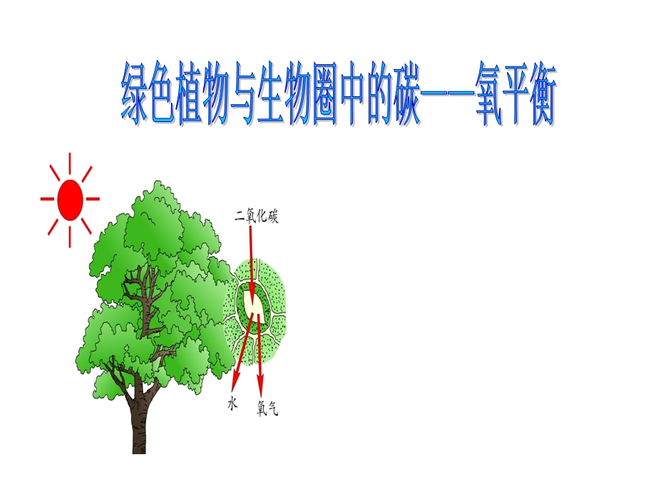 绿色植物与生物圈中的碳——氧平衡.ppt_第1页