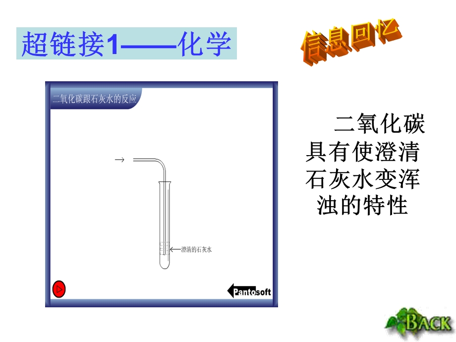 绿色植物与生物圈中的碳——氧平衡.ppt_第3页