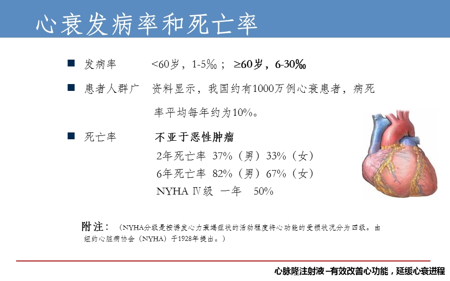 心衰市场分析.ppt_第3页