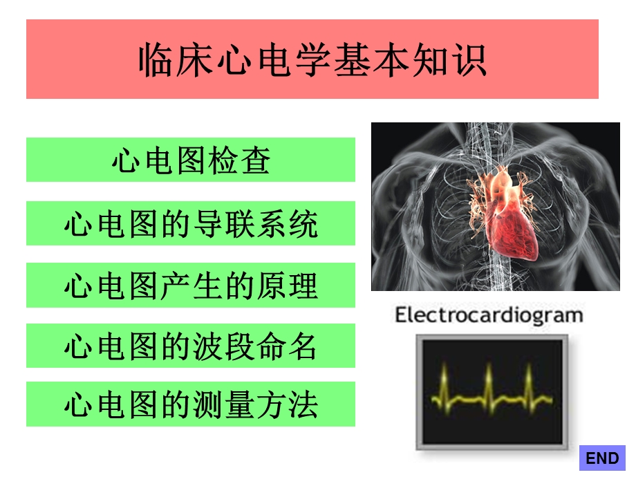 临床心电学基本知识.ppt_第2页