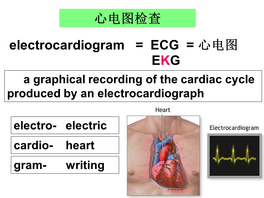 临床心电学基本知识.ppt_第3页