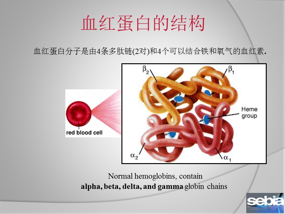 1004658348血红蛋白电泳的意义和判断(高级版).ppt_第3页