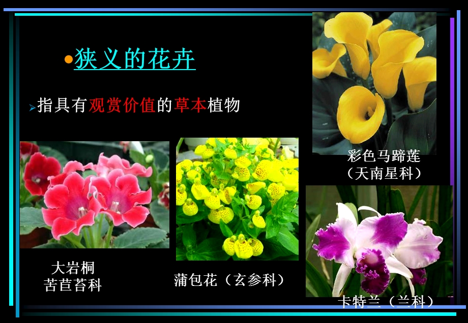 花卉栽培学 花卉栽培的意义和作用.ppt_第3页