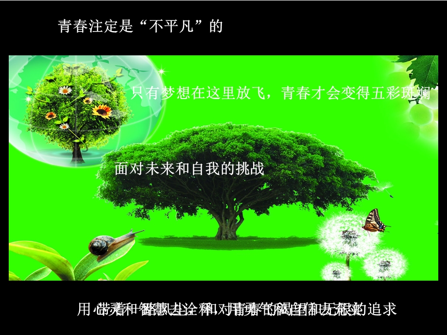 青梦想演讲比赛专业动态ppt.ppt_第3页