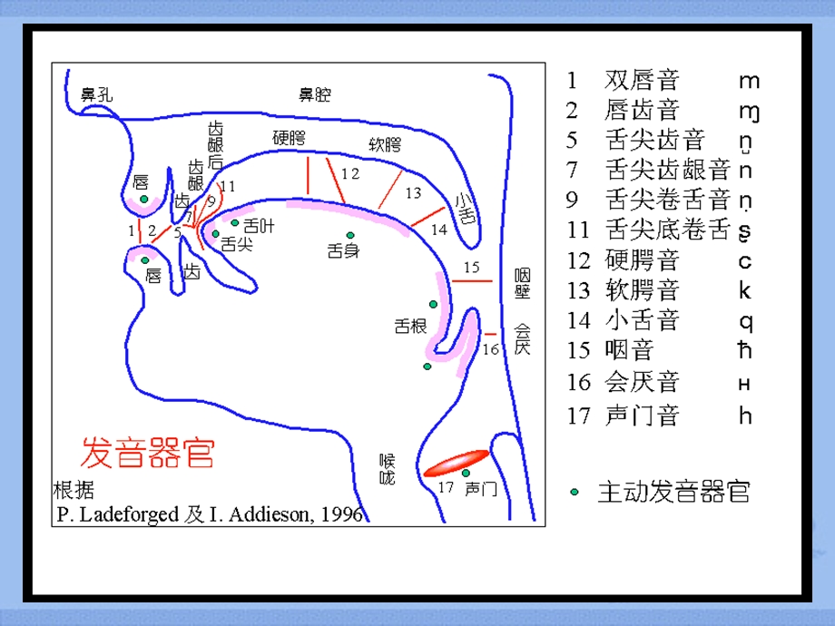 语音阶段教学PPT.ppt_第3页