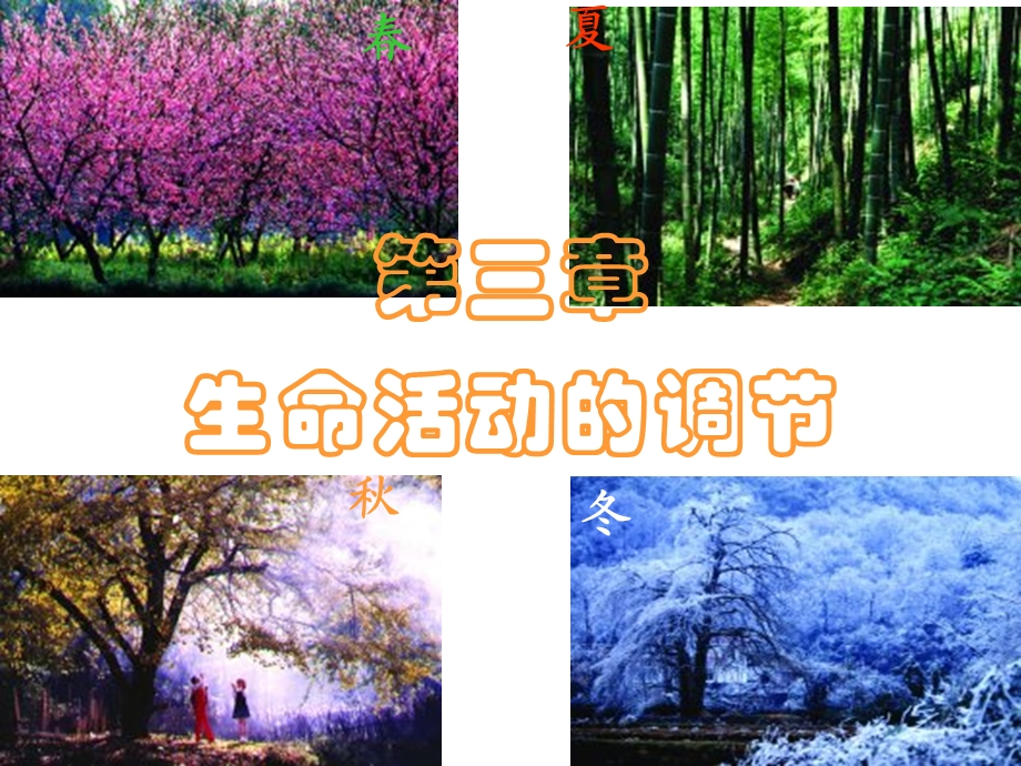 环境对生物行为的影响.ppt.ppt_第1页