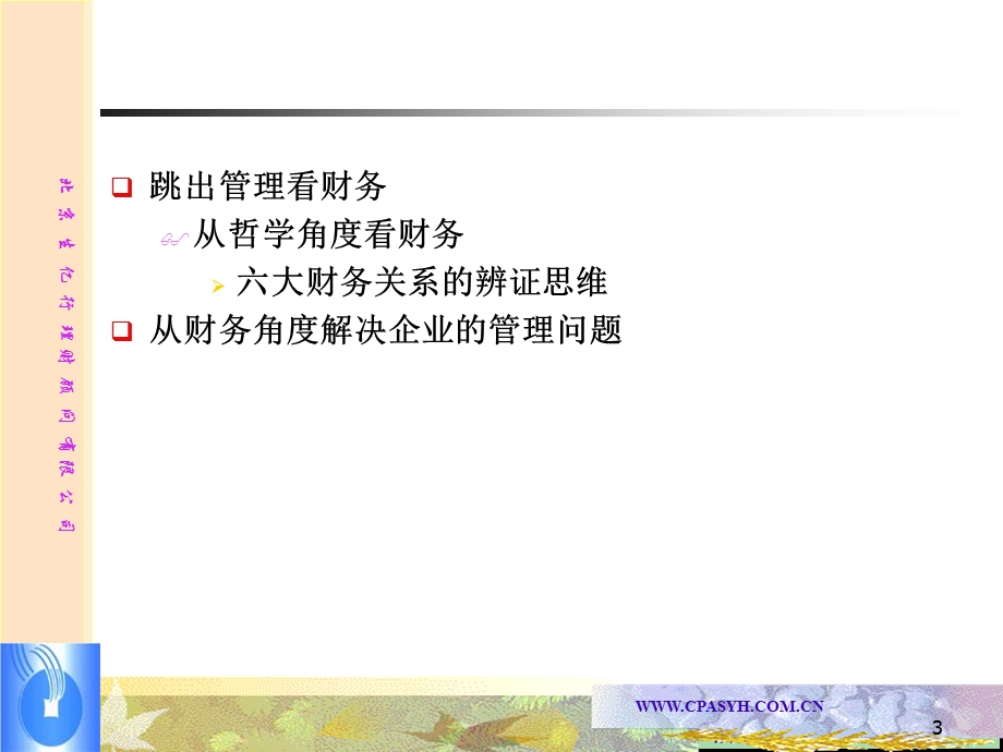 老板财务难题解决方案账前消化培训讲义.ppt_第3页