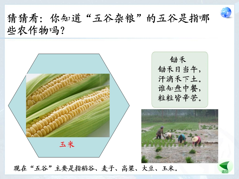 第二节农业.ppt_第1页