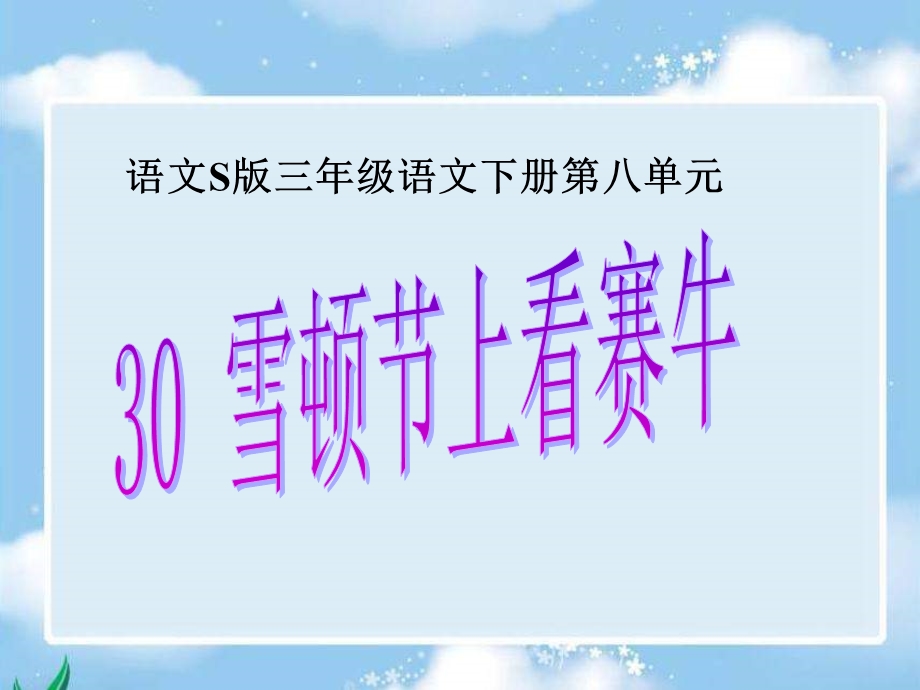 30.《雪顿节上看赛牛》.ppt.ppt_第1页