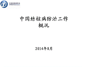 中国结核病防治工作概况介绍PPT.ppt