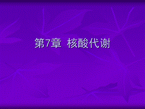 第7章核酸代谢PPT.ppt